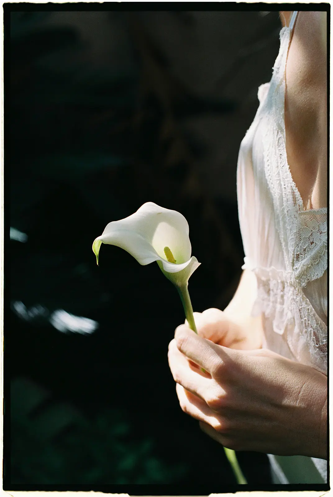 Close-up fine art film photography of a bride holding a white calla lily against a delicate lace wedding dress by Jessica North.