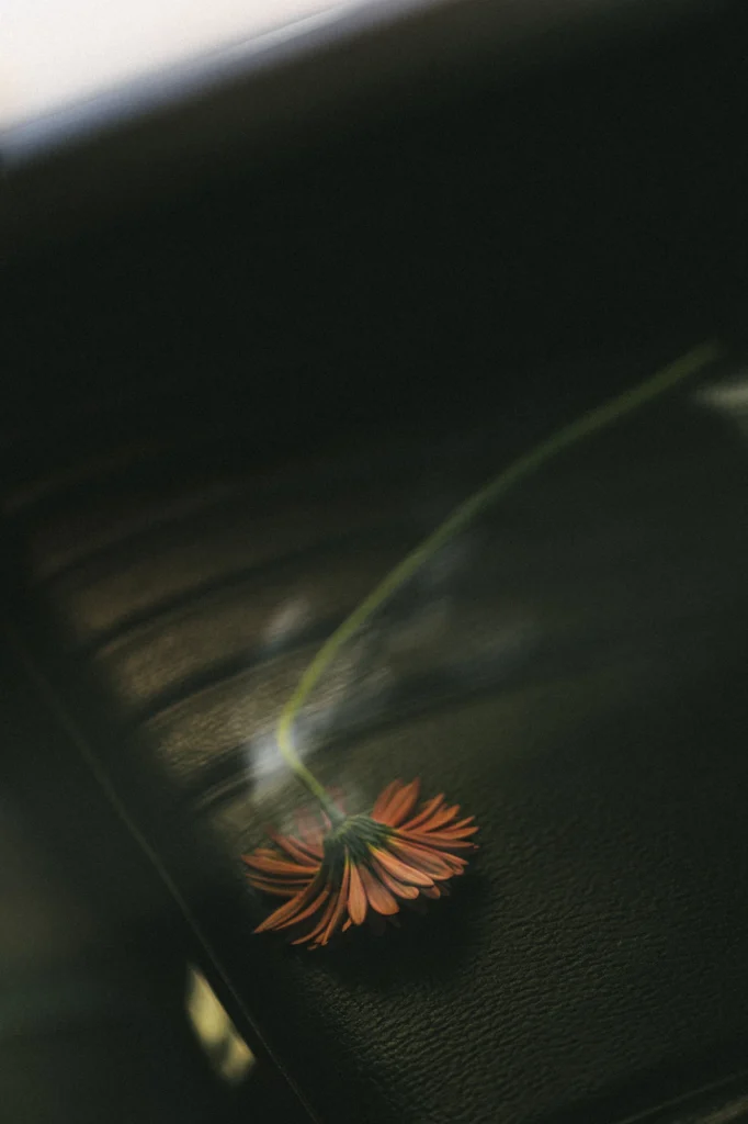 Close up of a delicate wedding flower with abstract glass reflections in a vintage car. Mallorca wedding details.